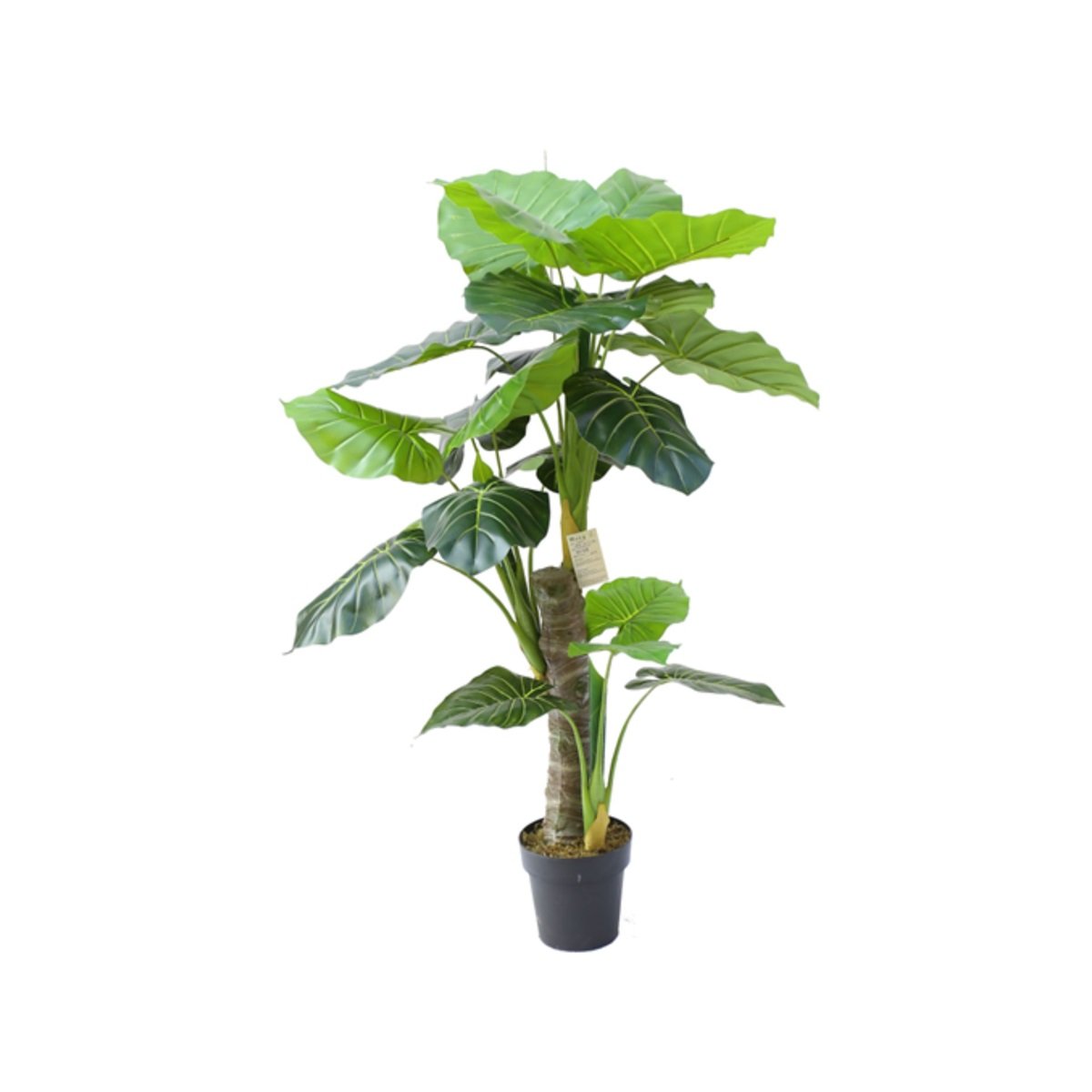 TARO PLANT Y8059-23-3-1PS 130 CM