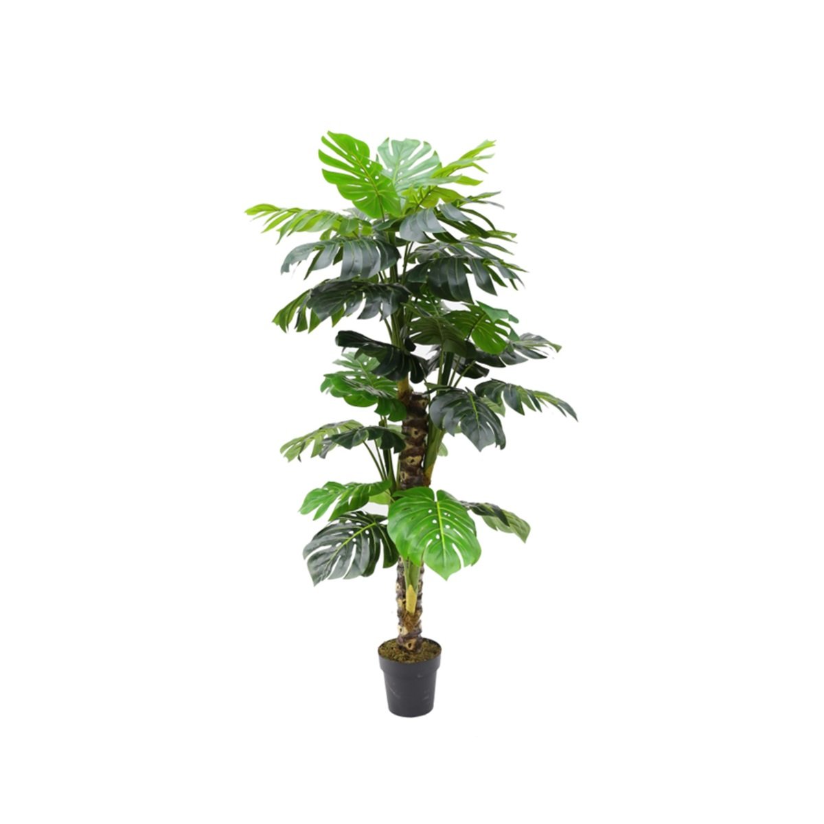 MONSTERA PLANT Y8453-34-4-1PS 160 CM