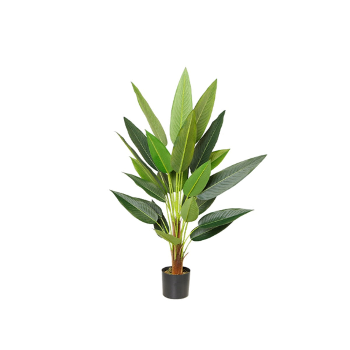 STRELITZIA TREE Y8498-27-9-1T 95 CM
