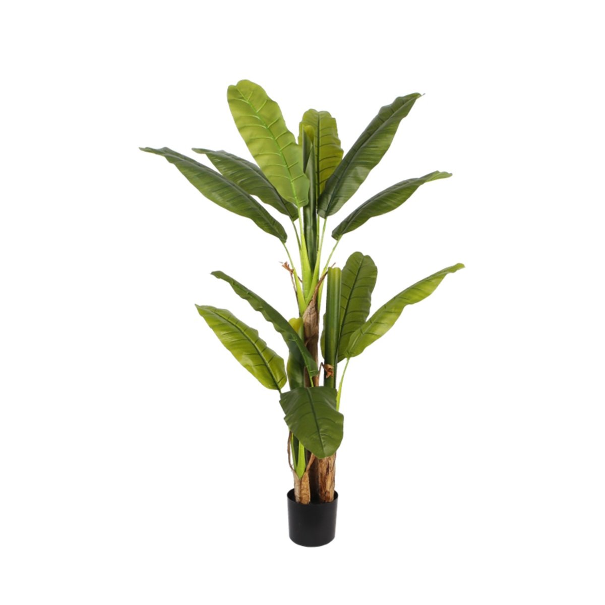 BANANA TREE Y8328-14-3TS 150 CM