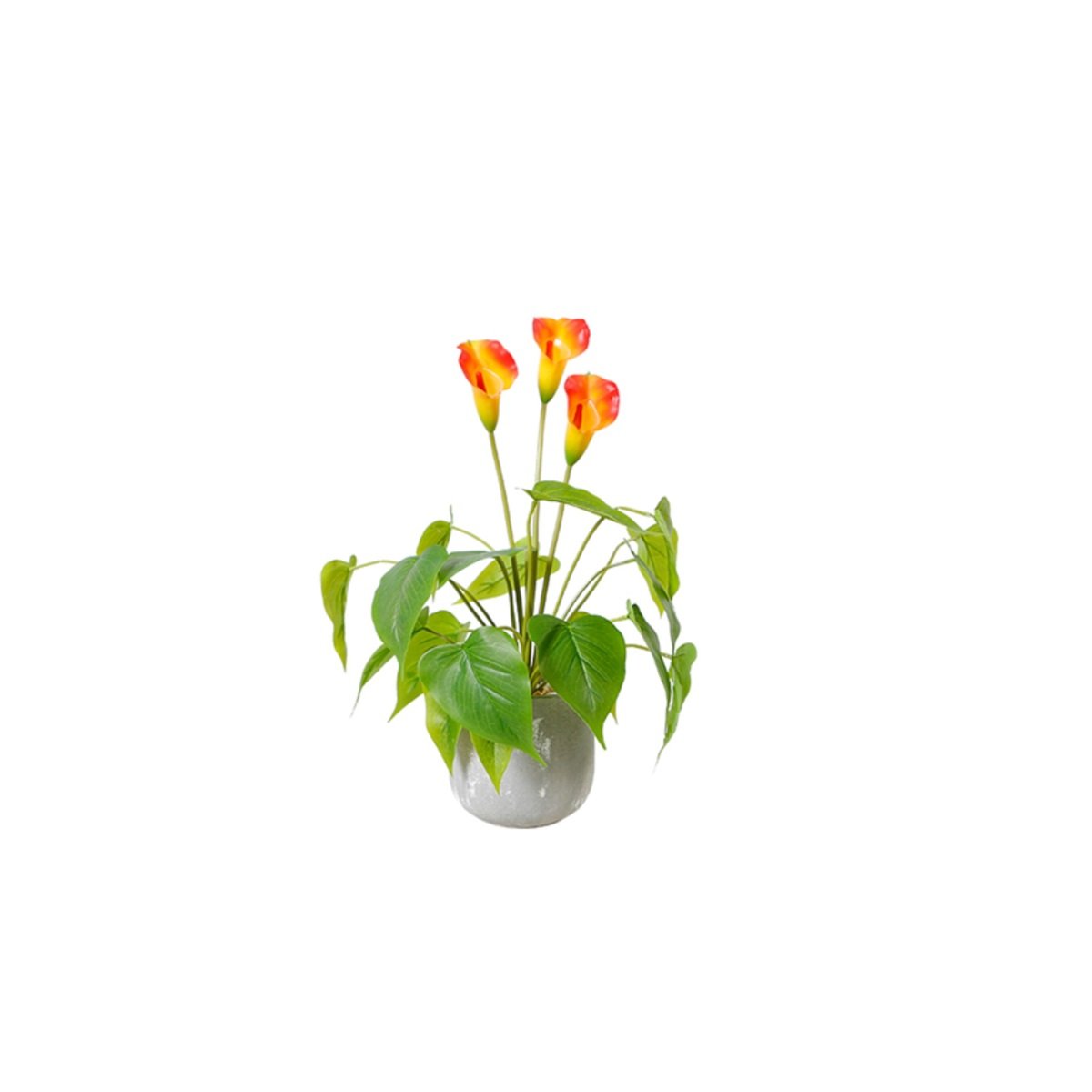 SMALL PLANT QX-MT-JH 47 CM