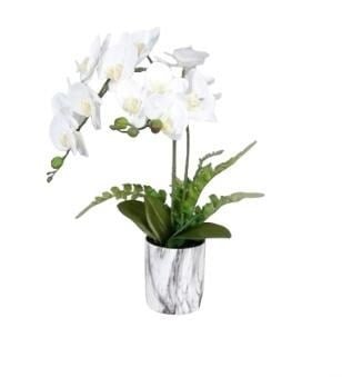 ORCHID BF-HDL-2PJ 50 CM